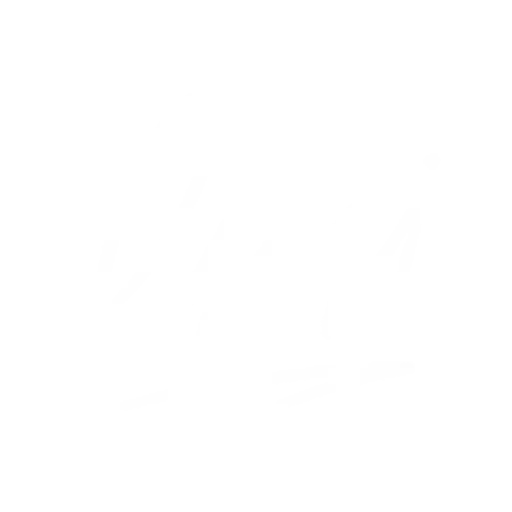 LMI MakeUp Institute